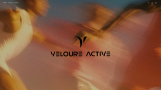 Thumbnail of avelaactive.com