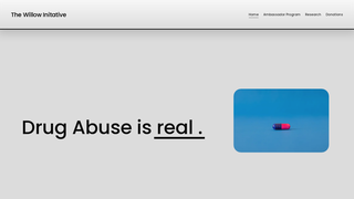 Thumbnail of willowinitiative.org