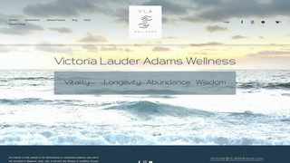 Thumbnail of vlawellness.com