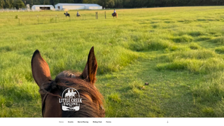 Thumbnail of littlecreekequinems.com