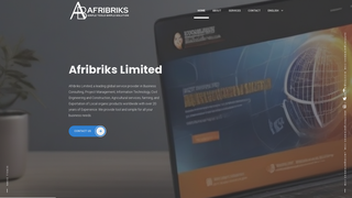 Thumbnail of afribriks.com