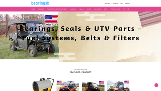 Thumbnail of bearingsk.com