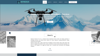 Thumbnail of skynexusavionics.com