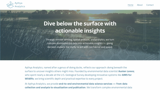 Thumbnail of aythyaanalytics.com