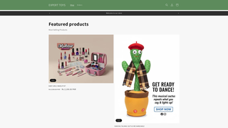 Thumbnail of experttoy.com