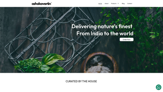 Thumbnail of ashokavartin.com
