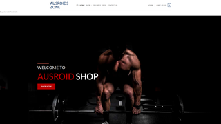 Thumbnail of ausroidszone.com