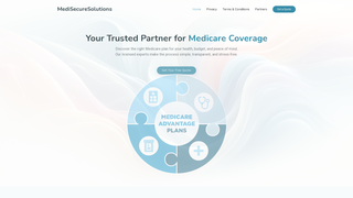 Thumbnail of medisecuresolutions.com
