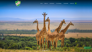 Thumbnail of brunosafarisandtours.com