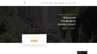 Thumbnail of williamsevergreenconsultancy.com