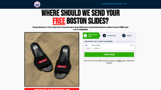 Thumbnail of bostonslides.com