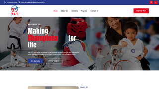 Thumbnail of topleveltaekwondo.com