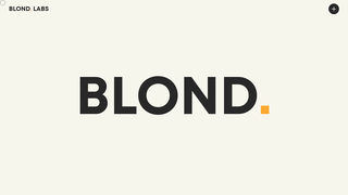 Thumbnail of blondlabs.com
