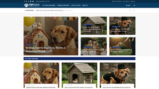 Thumbnail of tipseen.com
