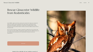Thumbnail of rescuegloucesterwildlife.org