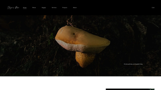 Thumbnail of elysesplace.com
