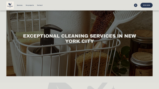 Thumbnail of ecomaidllc.com