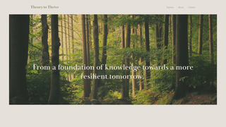 Thumbnail of theorytothrive.com