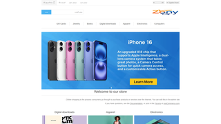Thumbnail of zonystore.com