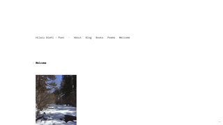 website thumbnail