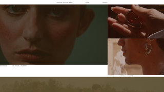 Thumbnail of aureliengrellierbeker.com