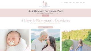 Thumbnail of allieblomquistphotography.com