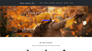 Thumbnail of budgetbargainbuys.com