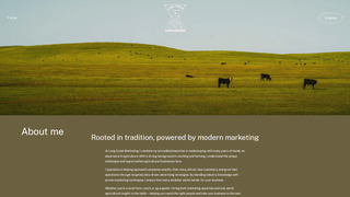 Thumbnail of longcreekmarketing.com