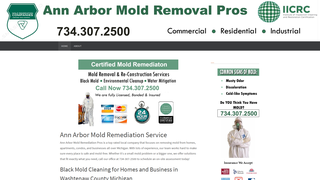 Thumbnail of annarbormoldremediation.com