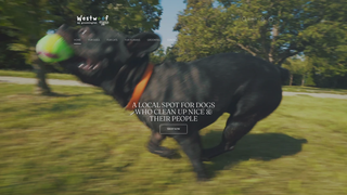 Thumbnail of westwoofnj.com