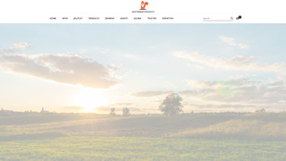 Thumbnail of squirreldepartmentstore.com