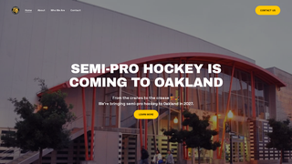 Thumbnail of oaklandhockeyproject.com
