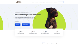 Thumbnail of royalfortunecorsos.com