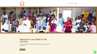 Thumbnail of openbibleforlifechurches.org