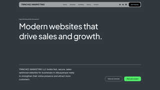 Screenshot of trinchezmarketing.com