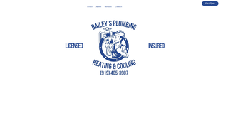 Thumbnail of baileysplumbingandheating.com