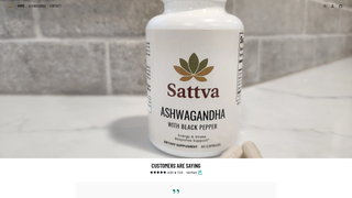 Thumbnail of blissofsattva.com