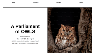 Thumbnail of websiteforowl.com