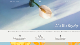 Thumbnail of viendore.com