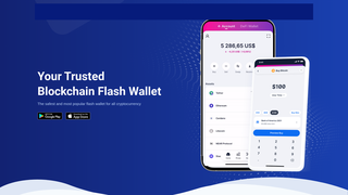 Thumbnail of blockchainflasher.com