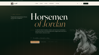 Screenshot of farasjo.com