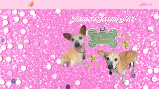 Thumbnail of maiselssecondact.com