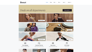 Thumbnail of zayvoli.com