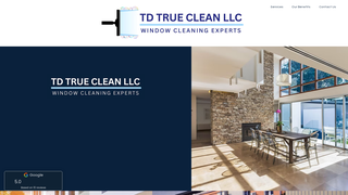 Thumbnail of tdtrueclean.com