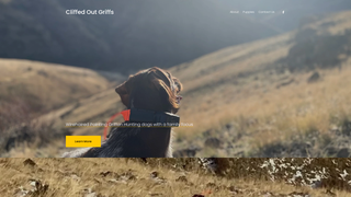 Thumbnail of cliffedoutgriffs.com