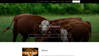 Thumbnail of bovineconnect.com