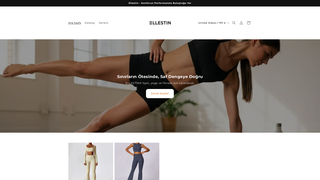 Thumbnail of ellestin.com