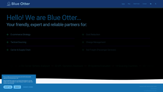 Thumbnail of blueott.com