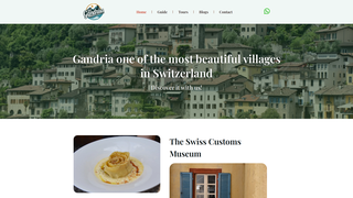 Thumbnail of zwinglitours.com