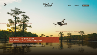 Thumbnail of flypintail.com